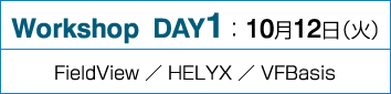 Workshop DAY1：FieldView ／ HELYX ／ VFBasis