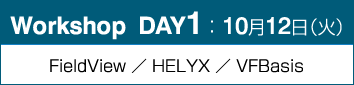 Workshop DAY1：FieldView ／ HELYX ／ VFBasis