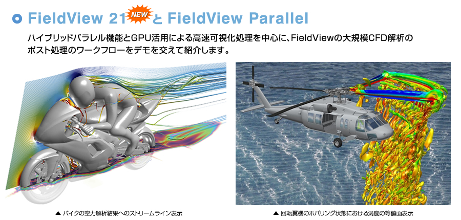 【最新リリース】FieldView 21 と FieldView Parallel
　ハイブリッドパラレル機能とGPU活用による高速可視化処理を中心に、FieldViewの大規模CFD解析のポスト処理の手順をデモを交えて紹介します。