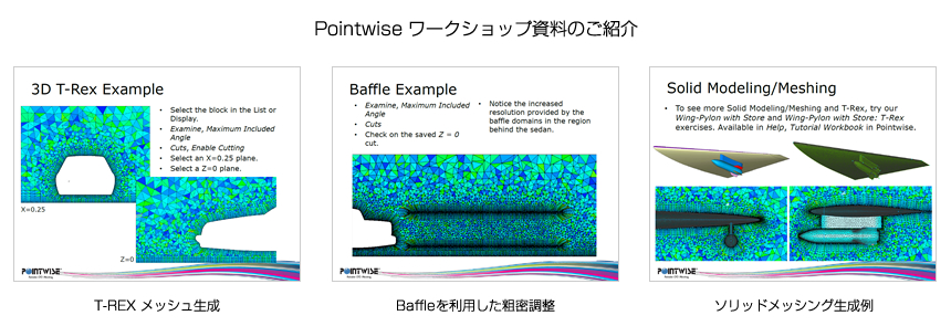 Pointwise ワークショップ資料のご紹介